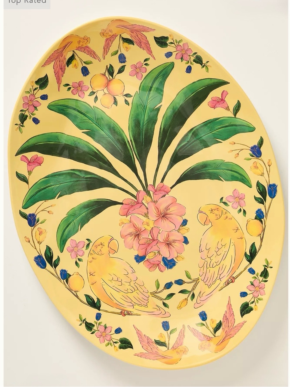 Farm Rio x Anthropologie Melamine Oval Serving Platter Yellow Parrot Tropical